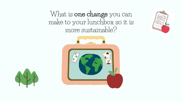 Sustainable changemakers – lunchbox citizens Sustainable changemakers – lunchbox citizens